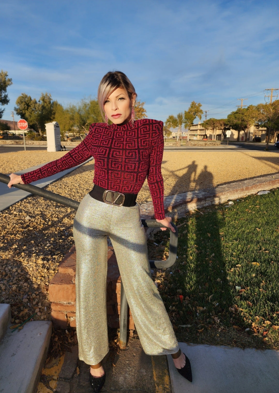 Metallic pants