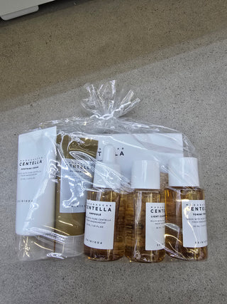 SKIN1004 Madagascar Centella Travel Kit, a 5-piece set